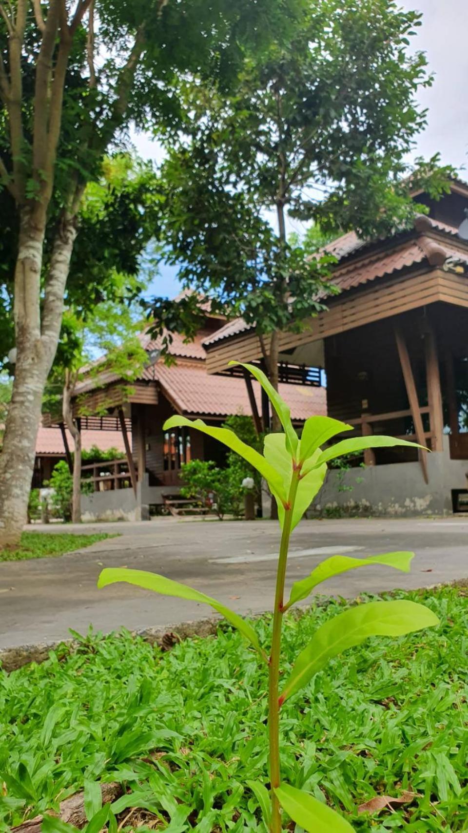 Ruenpruksa Resort Prachuap Khiri Khan Exteriér fotografie